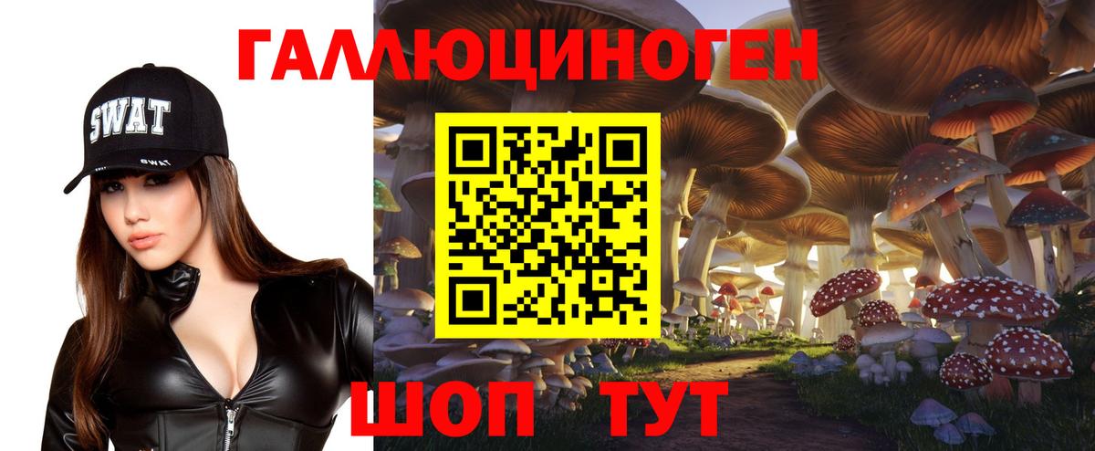 Луховицы  Галлюциногенные грибы Psilocybe  Вход с VPN 